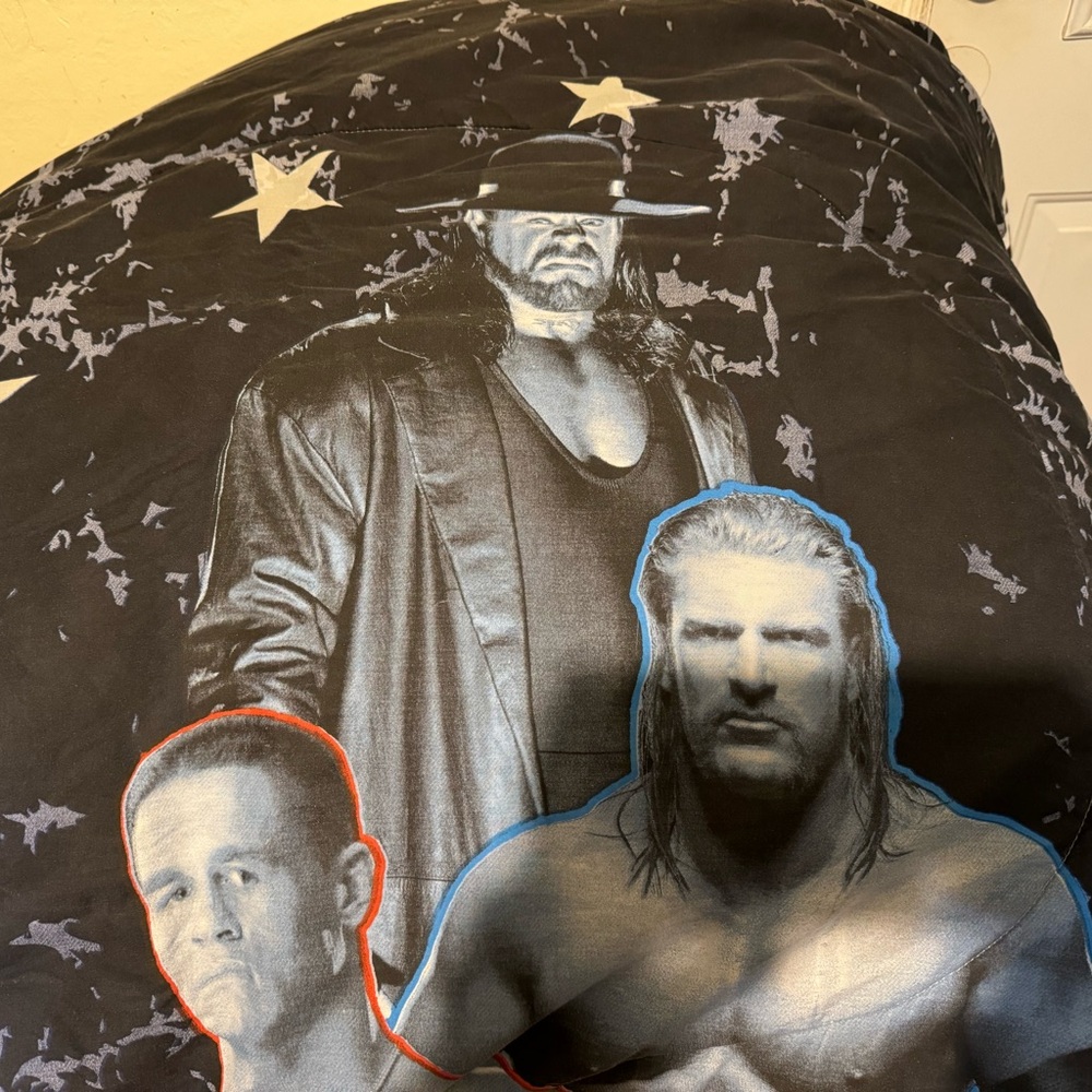Vintage 2010 WWE comforter